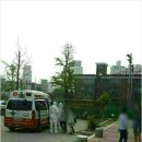 강남-079 이미지