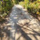 신기마을버스 정류장 이미지