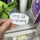 CJ 올리브영 트레이너 Trainer 합격 후기 - (자소서/CJAT/직무면접/토의면접)