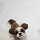 멜팅그루밍 이미지