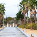 제주건강과 성 박물관 이미지