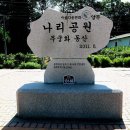 천일홍축제 이미지