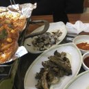 거북곰장어 이미지