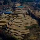 사포마을 이미지