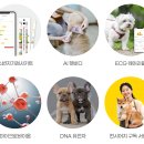 알파케어 이미지