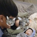 청주미즈맘산후조리원 이미지