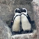 힐링정원 | 봄 시즌 여행 🌸 가족 나들이 장소로 추천하는 가평 힐링 정원 후기