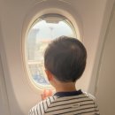 신화베이스캠핑카제작소 | 40개월 아이와제주도 3박4일 여행 코스 총정리 (낮잠 동선 추천)