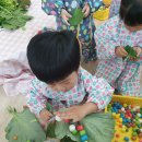 🥬🌿 쌈채소 오감놀이 이야기 🌿🥬 이미지