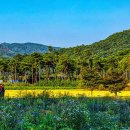 백제가요정읍사오솔길(2코스 내장호 수변데크) 티스토리