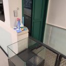 두젠틀(DOGENTLE) | 두젠틀 애견카페 장승배기역점 방문 후기