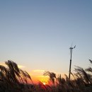 하늘공원 이미지