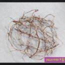 화훼장식(플로리스트) 이미지