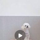 도근도근 이미지