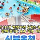 스프링폴 이미지