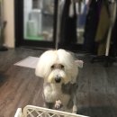 개릿뷰티 이미지