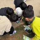 시온태권도 | 만덕 그린코아 유치원 재원 3년차 후기