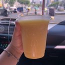 보듬펫살롱 이미지