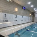 어스플레잉 수영 이미지