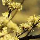 문학당구장 이미지