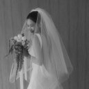 그리두스튜디오