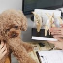 둔촌동물병원 이미지