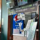 프랭크버거 동해쇄운점 이미지