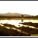 곡성-136 이미지