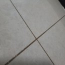 평화제일오투그란데에버 이미지