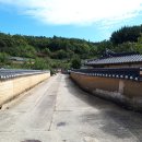 고래불해수욕장(병곡지구) 야영장 이미지