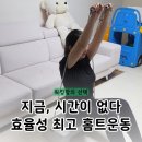 근력운동 | 워킹맘 홈트 엑사이더 스텝박스로 가성비 효율성따진 유산소 근력운동 후기