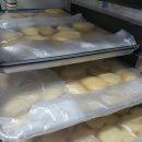 부안초병설유치원 이미지