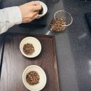 시크릿커피학원