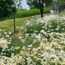 이현공원 이미지