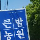 큰밭농원 이미지