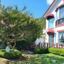 하얀둥지펜션 이미지