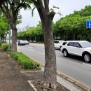 권율대로 이미지