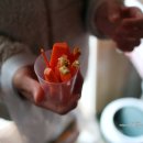 양지은농장 이미지