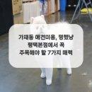 멍했냥 평택본점 이미지