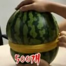 (주)건희