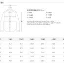 지와이인터내셔날