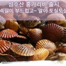 ＜통영굴 행사중＞ 생굴 ,각굴 ,가리비 ,문어 ,전복 ,뿔소라 ,홍합 ,해삼 ,바지락 ,피데기 택배 이미지