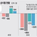 강남-292 이미지