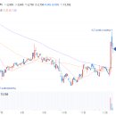 주식회사디자인세아 네이버블로그