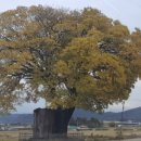 포항지형산책 이미지