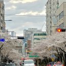 영마켓 | 소중한일상ㅣ올리브영 쇼핑ㅣ마켓컬리추천템ㅣ올더베러후기