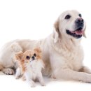 티앤디 동물병원 이미지