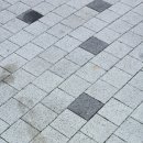 홍천동키마을 이미지