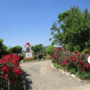 가야농장 이미지