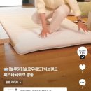 냥시티 | 일상 | 냥과함께